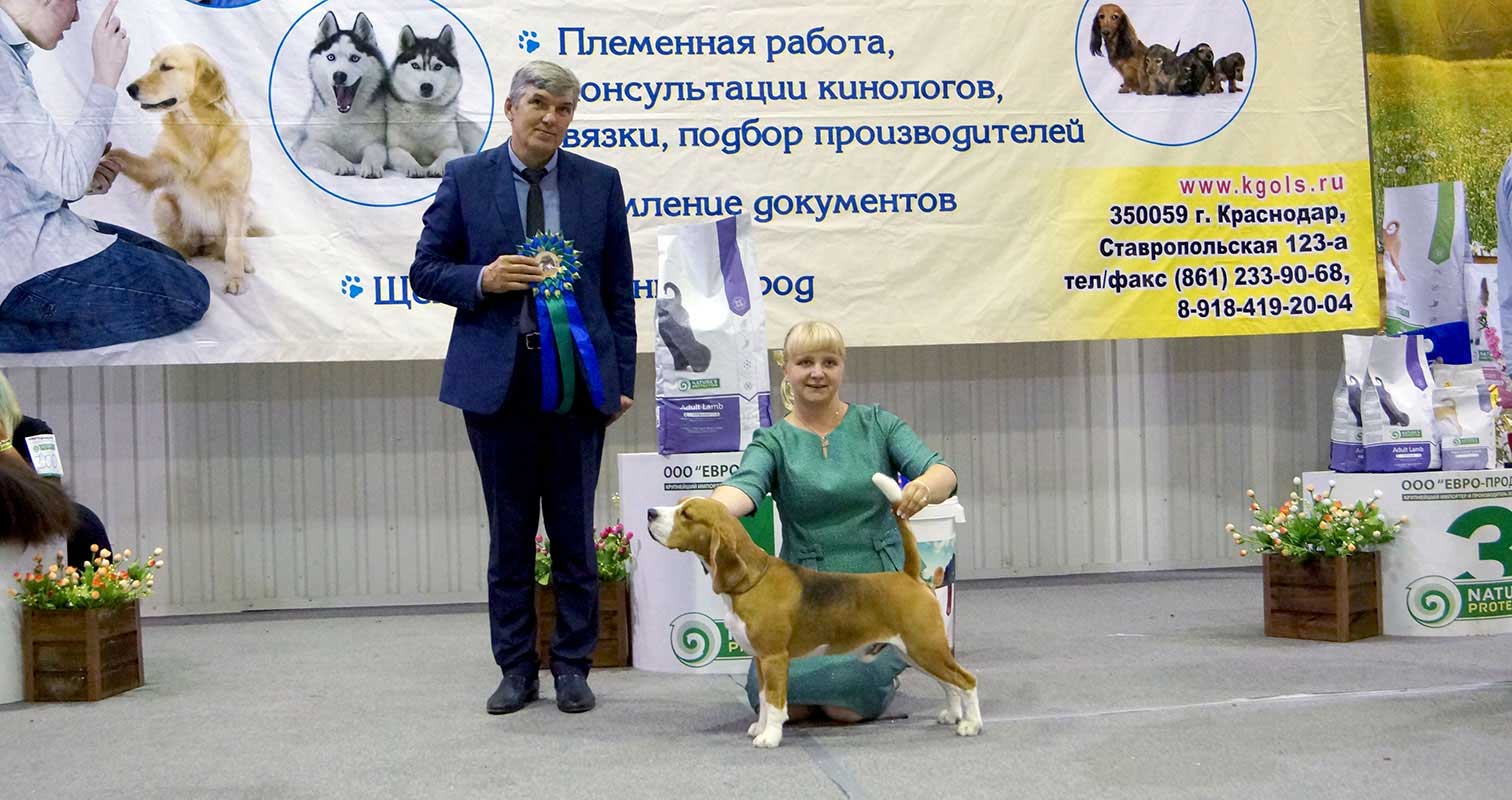 ВАЛСИ ЦИРКОНИЙ