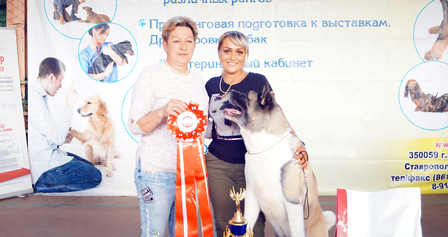 IZUMI S JUZHNOGO VZMORIJA