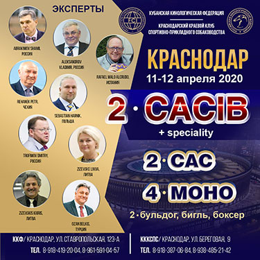 Апрельские встречи - 2020